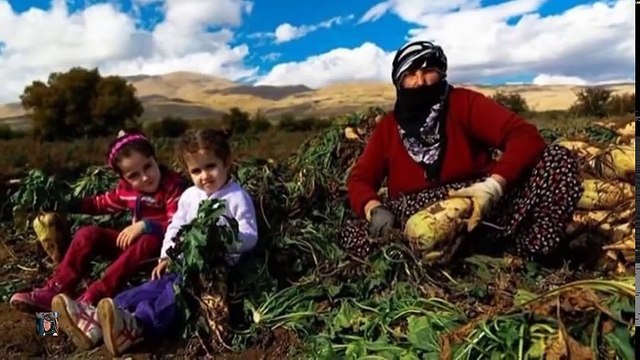 Yürek Yakan Dertli Türküler - (Dertli Gelin)