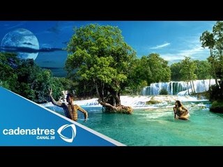 Horóscopos: para Cáncer / ¿Qué le depara a Cáncer este 20 marzo 2014?