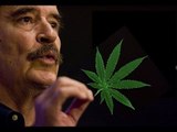 Fox quiere sembrar marihuana /plantean discusión sobre marihuana tras declaraciones de Fox