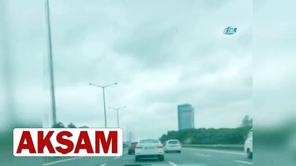 TEM’e giren kedi ortalığı birbirine kattı