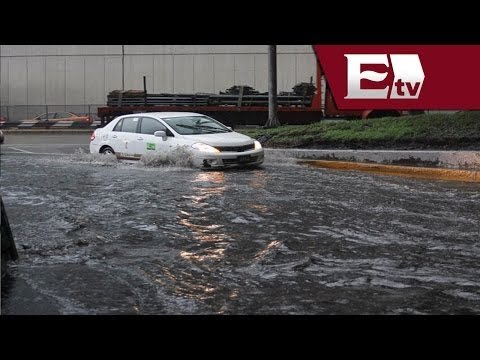 Fuertes lluvias causan encharcamientos y caída de árboles en la Ciudad de México/ Vianey Esquinca