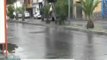 Se elevan los accidentes carreteros debido a las lluvias en San Luis Potosí