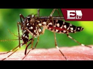 Establece Tamaulipas cerco sanitario contra virus del chikungunya / Vianey Esquinca