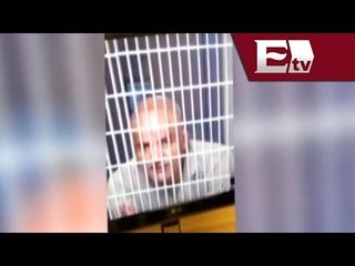 José Manuel Mireles rindió su declaración; aparece sin cabellera  / Nacional