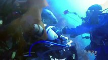 The friendliest seal; an extraordinary clip from some amazing dive footage filmed in the Isle of Man.  Thanks to Colin Peters for sharing this video with us; w