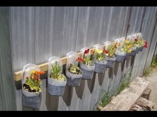 Macetas hechas con envases de leche