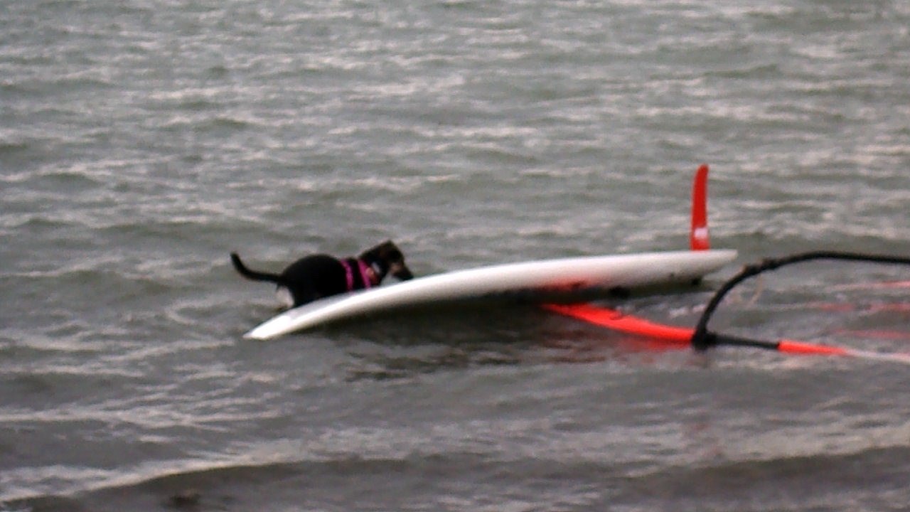 Stella windsurfing Cilistov Sept 18