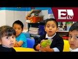 Estancias Infantiles en el país 100% seguras  /Excélsior En La Media