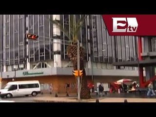 Denuncia ciudadana: Palmeras a punto de caer en Avenida Juárez / Vianey Esquinca