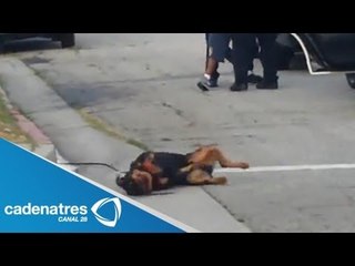 Policía de California mata a perro  (VIDEO) / California Police kill dog