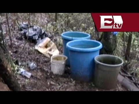 Localizan y aseguran 4 narcolaboratorios en Michoacán / Nacional