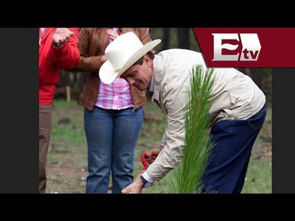 El presidente Peña Nieto encabezará Campaña Nacional de Reforestación