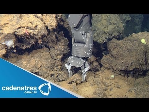 Muestran nuevas imágenes del volcán submarino Alarcón en Baja California Sur