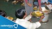Mueren niños por consumir almuerzo gratuito infectado de insecticida en la india