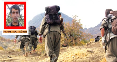 Son Dakika! Mardin'de, 4 Milyon TL Ödülle Aranan Sözde Eyalet Sorumlusu Terörist Mehmet Sait Sürer Öldürüldü