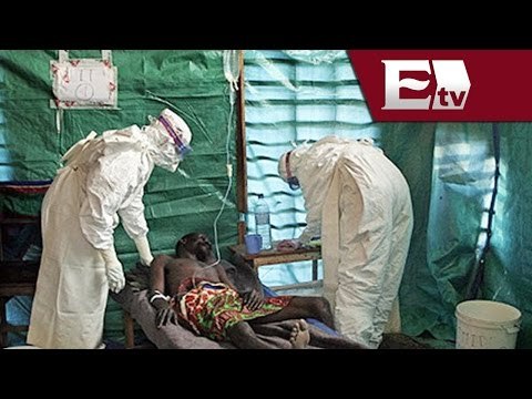 OMS; Suman 539 muertes por ébola en África Occidental / Excélsior en la media