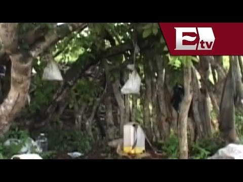 Cazador mata a otro en Yucatán tras confundirlo con un venado/ Titulares