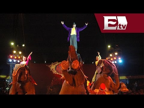 Dueños de circos tienen un año para adecuar espectáculo sin animales / Excélsior Informa