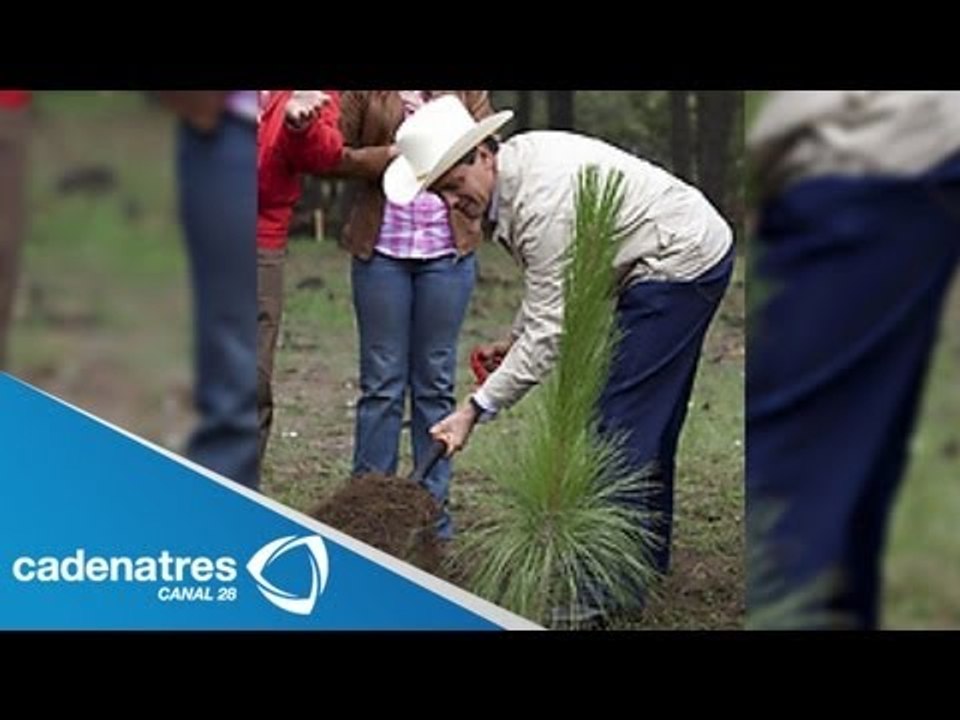 El presidente Enrique Peña anuncia programa de reforestación