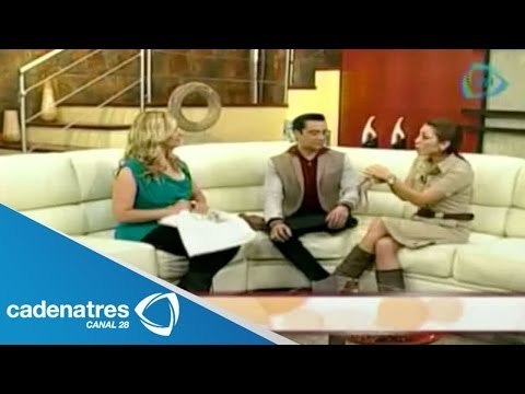 ¿Qué animales no son domésticos? / What animals are not pets?