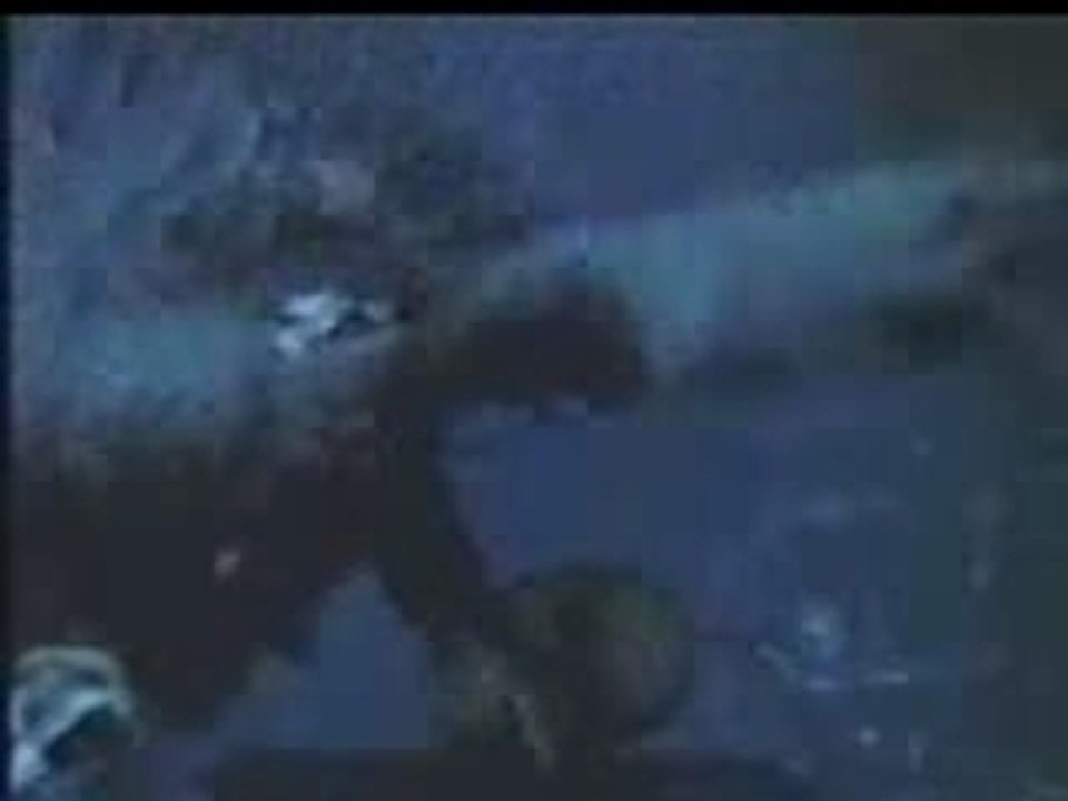 Nine_Inch_Nails_-_The_Perfect_Drug_(Aphrodite_Remix)