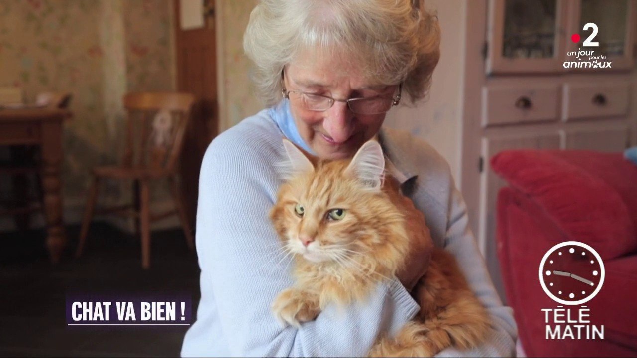 Insolites – La « ronronthérapie »
