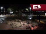 Tormenta eléctrica deja afectaciones en Mazatlán, Sinaloa  / Excélsior informa