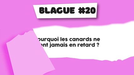 Blague #20 : Canards ponctuels