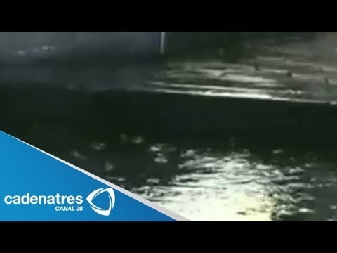 Tromba inunda decenas de casas en Tonalá, Jalisco