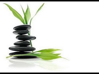 Plantas que dan equilibrio energético a tu casa