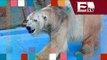 Arturo, el oso polar que vive a 40 grados centígrados en Argentina/ Entre Mujeres
