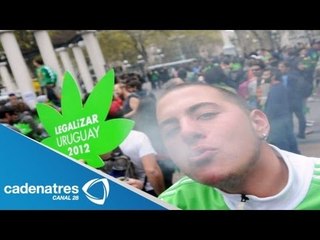 Uruguay busca legalizar mariguana / Uruguay seeks to legalize marijuana