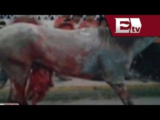 En Yucatán, piden prohibir los torneos de lazo / Vianey Esquinca