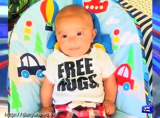 Why sharmila farooqi is out of politics now a days.