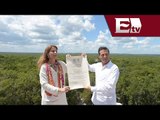 Declara la Unesco a Calakmul como Patrimonio Mixto de la Humanidad/ Pascal