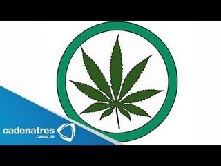 Morelos planea foro sobre despenalización de mariguana