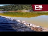 Contaminación del Río Sonora provoca escasez de agua en comunidades aledañas/ Excélsior Informa