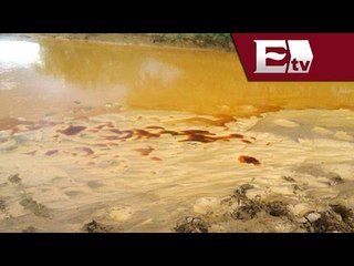 Empresa contamina el Río Sonora y podría ser multada con un millón de pesos/ Titulares