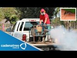 Cenavece contabiliza más de 160 mil casos de dengue en México; registra Veracruz 6 decesos
