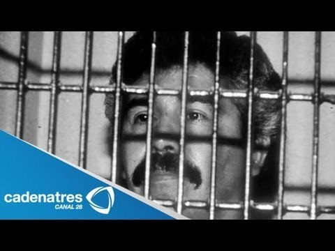 Rafael Caro Quintero es puesto en libertad / Rafael Caro Quintero freed