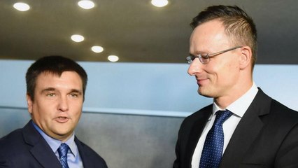 "Nem kívánatos" a beregszászi magyar konzul