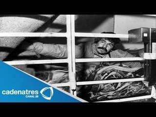 Nadie sabe dónde está Rafael Caro Quintero / Liberan a Caro Quintero