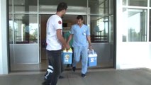 Şehit Polisin Organları Bağışlandı