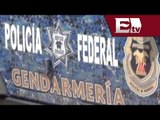¿Cuál es la misión de la Gendarmería Nacional ?  / Todo México