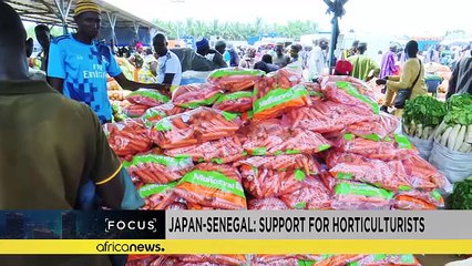 Japan-Senegal: supporting small-scale horticulturists