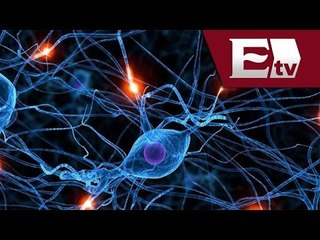 María de Lourdes Ituarte nos habla del Ice Bucket Challenge