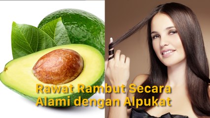 Rawat Rambut Secara Alami dengan Alpukat