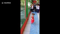 Dog walking on its hind legs amazes school children
