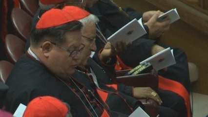 El papa anima al Sínodo a inspirar a "todos los jóvenes" sin excepciones