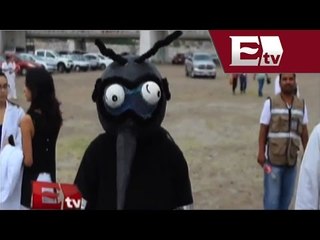 Acciones contra el dengue en Coahuila muestran resultados positivos / Noticiario con Alejandro Ocaña